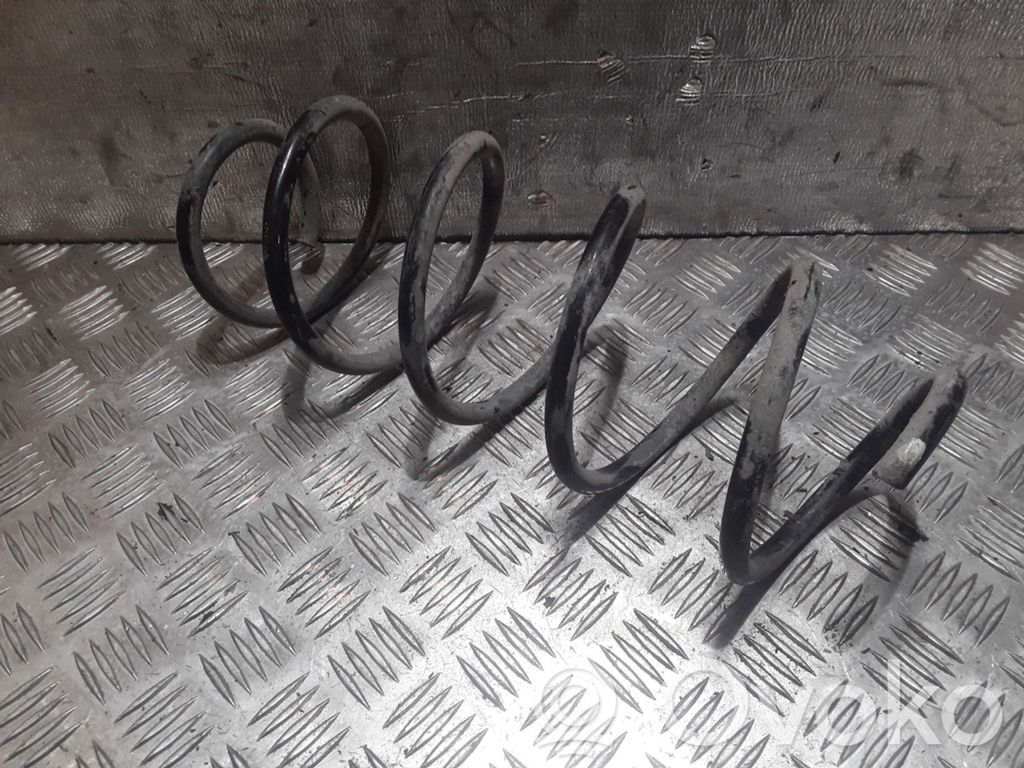 Front coil spring