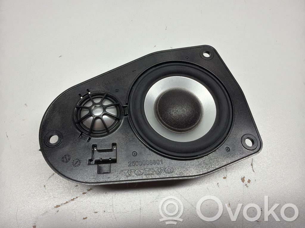 Panel speaker   31252157,23008703