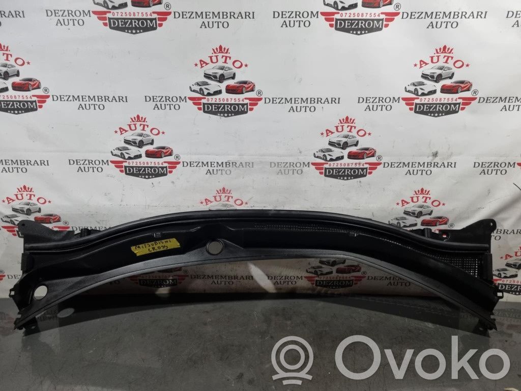 Windshield trim   7405A215
