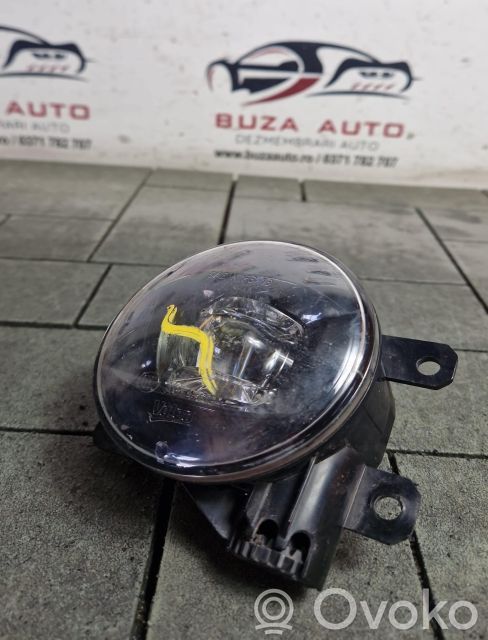Nebelscheinwerfer vorne