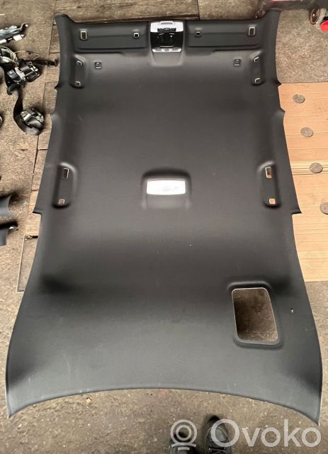 BMW X1 F48 F49 Dach 