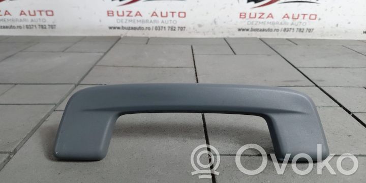 Haltegriff vorne