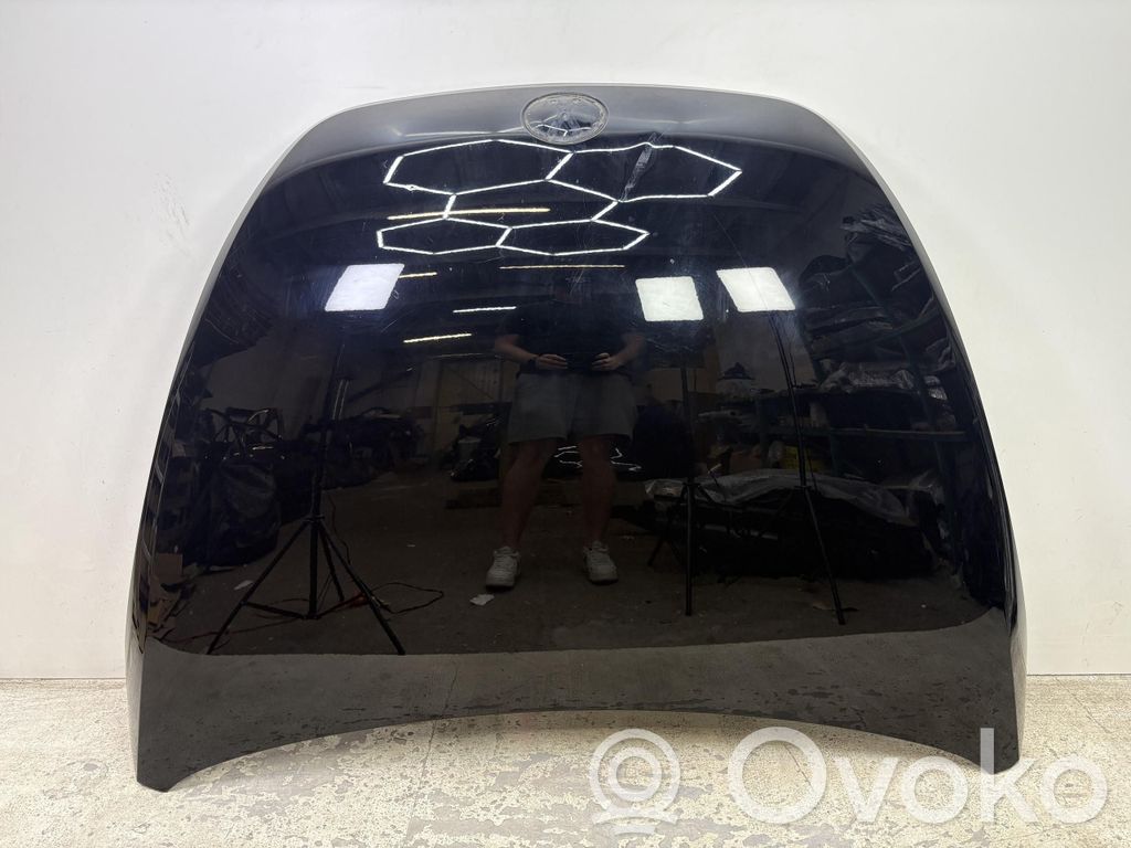 Volkswagen Beetle A5 Dzinēja pārsegs (vāks) 