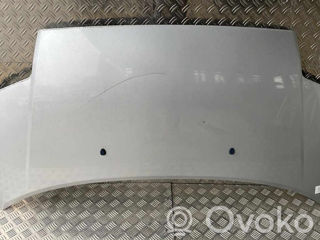 Motorhaube   7901K2