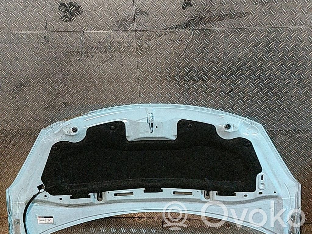 Konepelti   7901R1