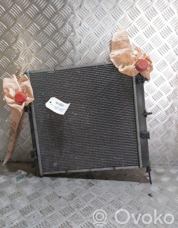 Citroen C3 Pluriel Coolant radiator 