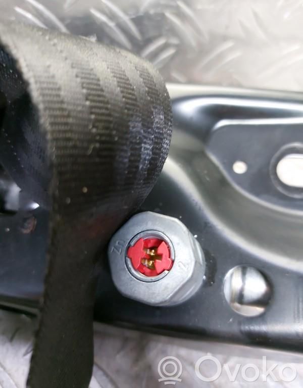 Cinturón delantero   39865069