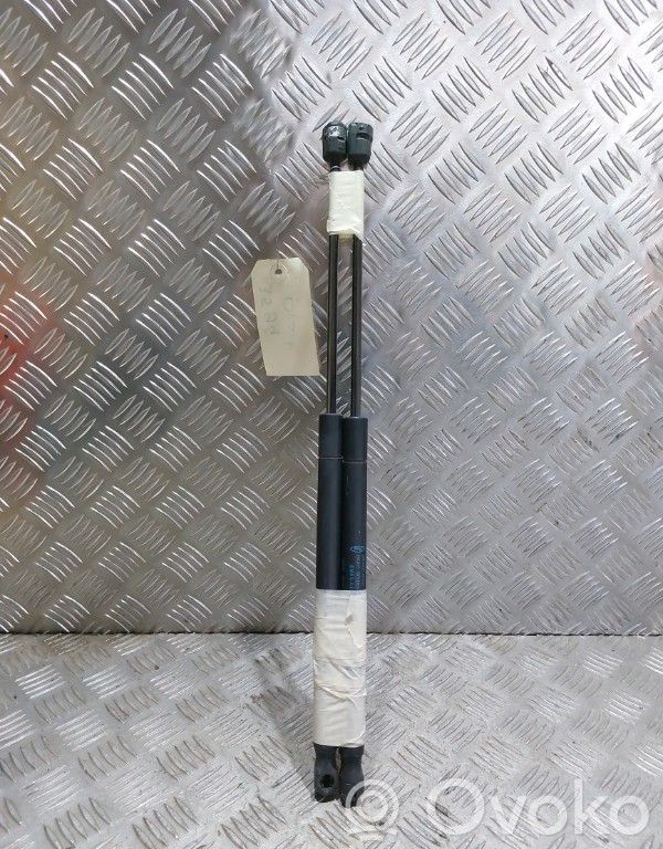 Tailgate/trunk strut/damper   1684312