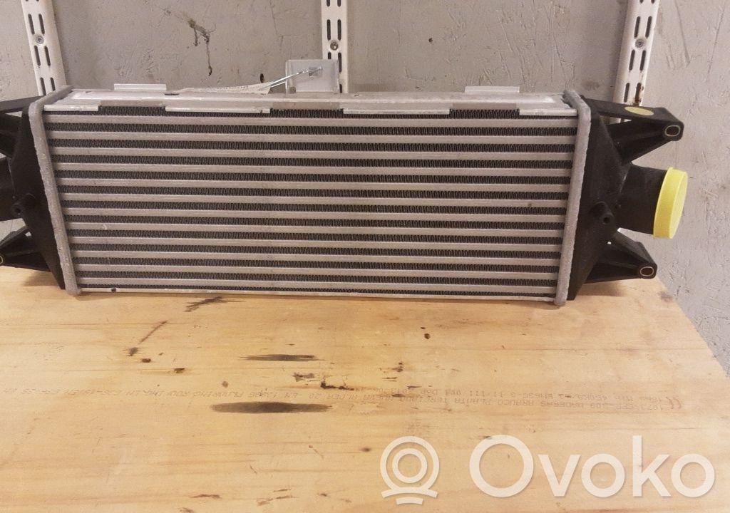 Intercooler radiator   5801349166