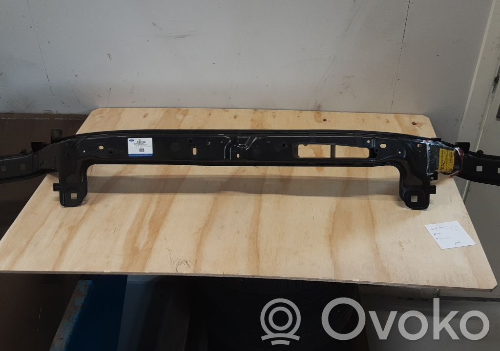 Ford S-MAX Radiatoru paneļa augšējā daļa (televizors) 