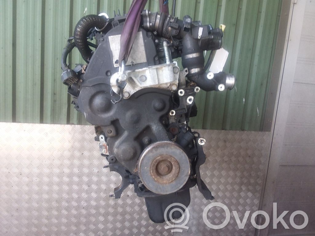 Motor