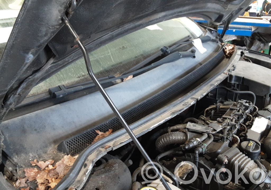 Ford Focus Wiper trim 