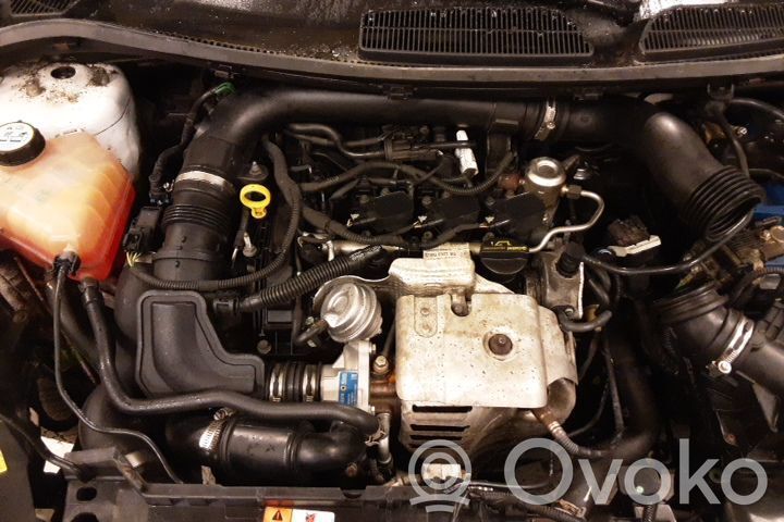 Ford Fiesta Engine 