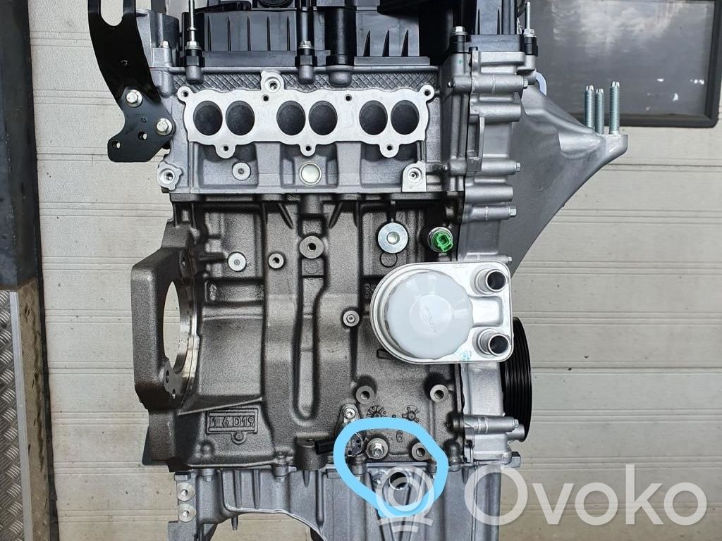 Ford Fiesta Двигатель 