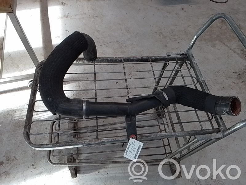Intercooler hose/pipe   7800549200