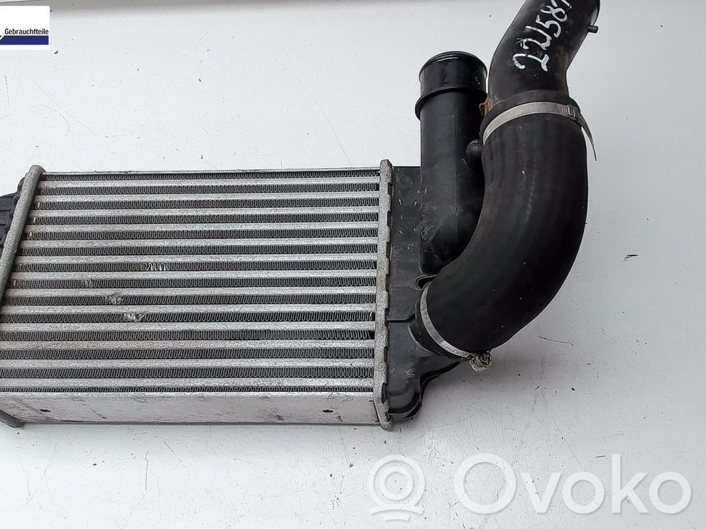 Peugeot Boxer Intercooler hose/pipe 