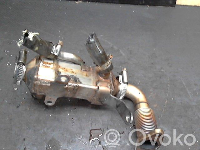 EGR valve