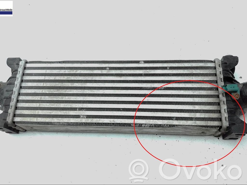 Intercooler hose/pipe   1881207,1823031