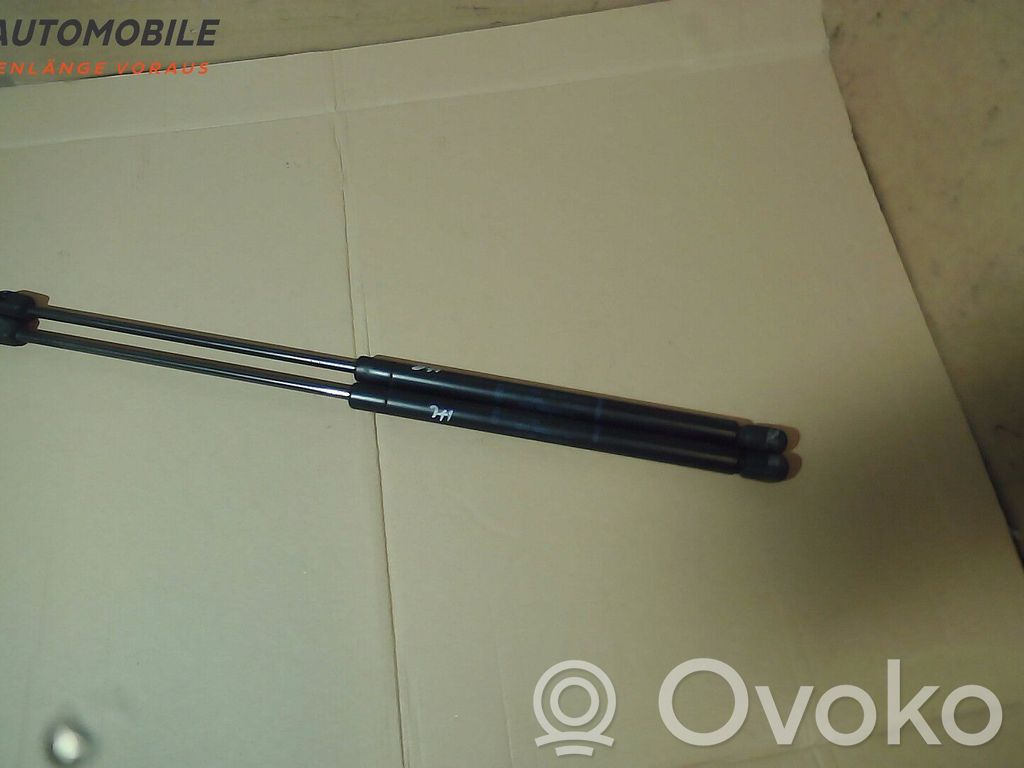 Ford Focus Tailgate/trunk strut/damper 