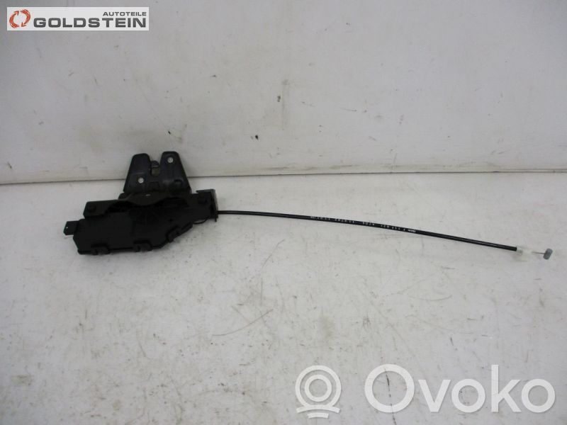 Tailgate/trunk/boot exterior handle   8196401,8196401