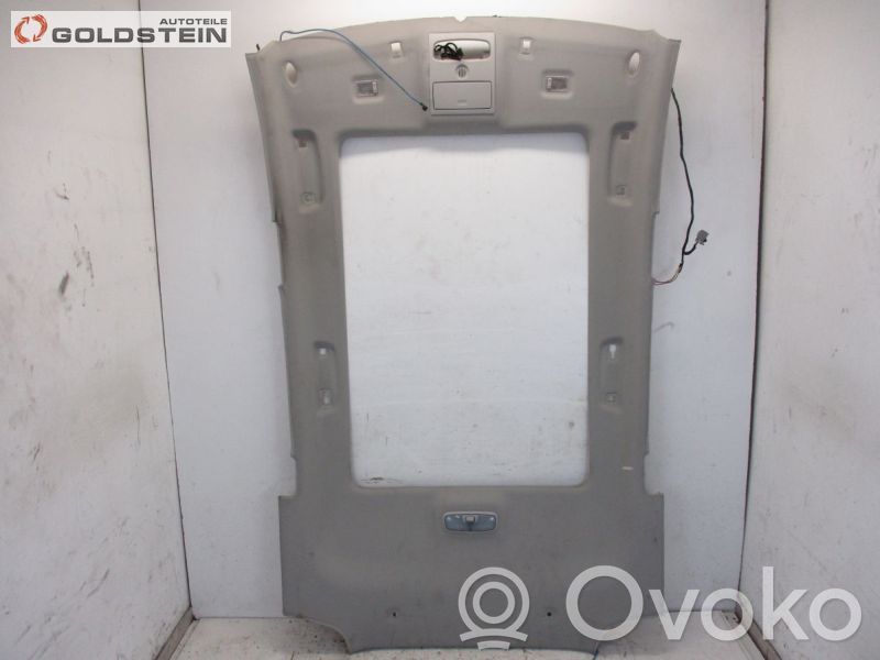 Dachhimmel   8V41S51916EF34X1,8V41S51916EF34X1