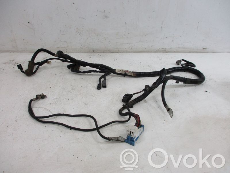Engine installation wiring loom   CC3067070D,CC3067070D