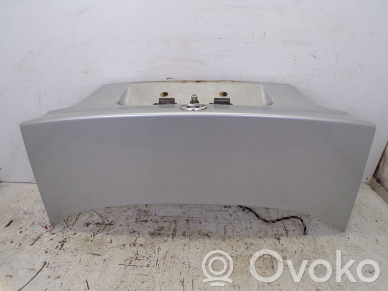 Tailgate/trunk/boot lid