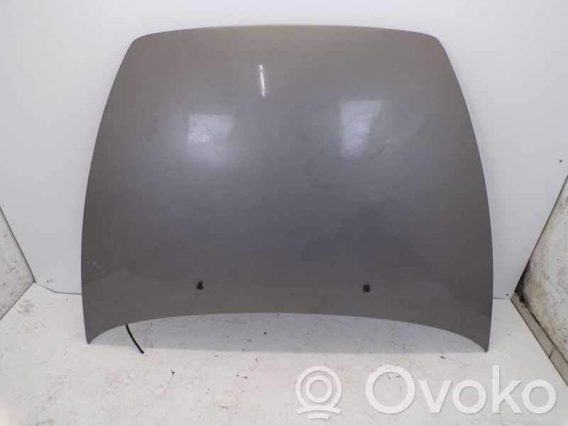 Engine bonnet/hood