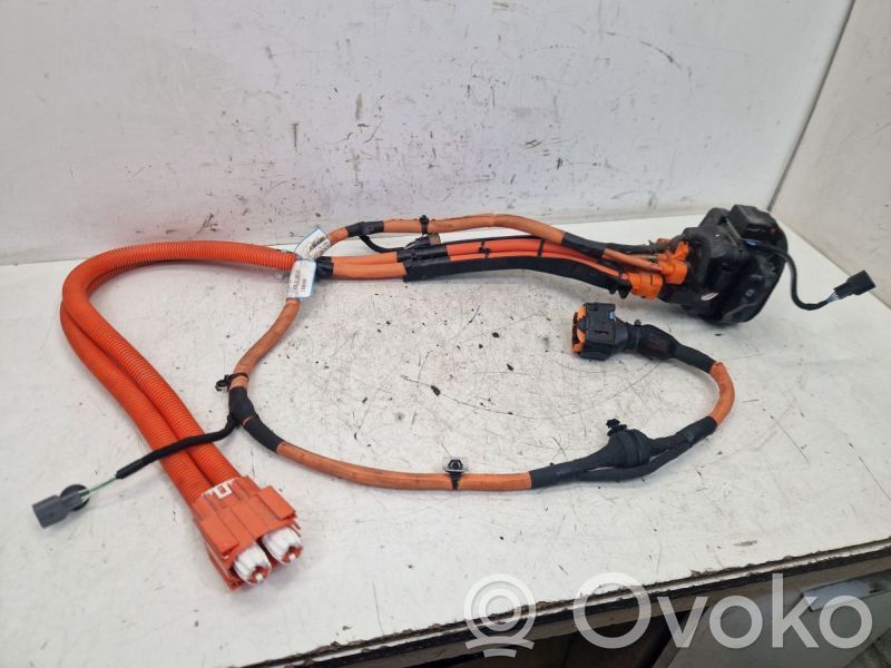 Other wiring loom   296950757R,296950757R