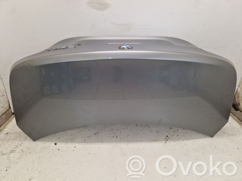 Tailgate/trunk/boot lid