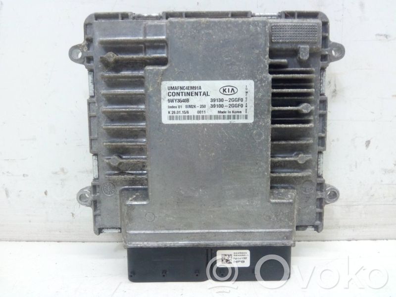 Moottorin ohjainlaite/moduuli   391302GGF0,391002GGF0,391002GGF0,391302GGF0,5WY3540B