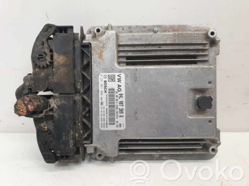 Unidad de control/módulo del motor   04L907309R,0281031066,0281031066,04L907309R