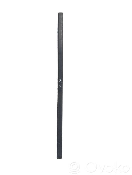 Front door trim (molding)