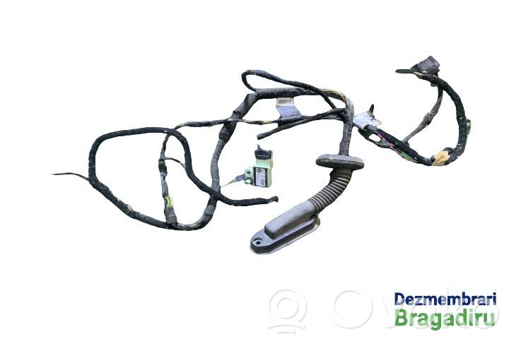 Front door wiring loom   6925972