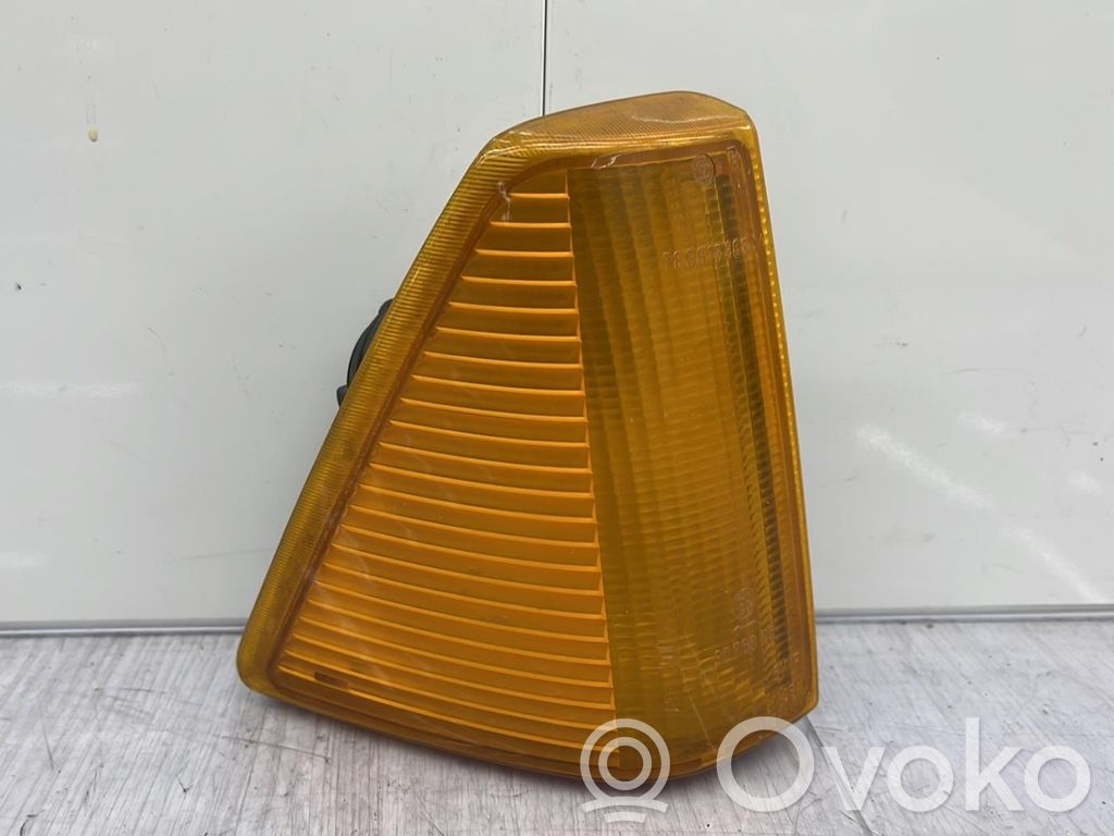 Front fender indicator light