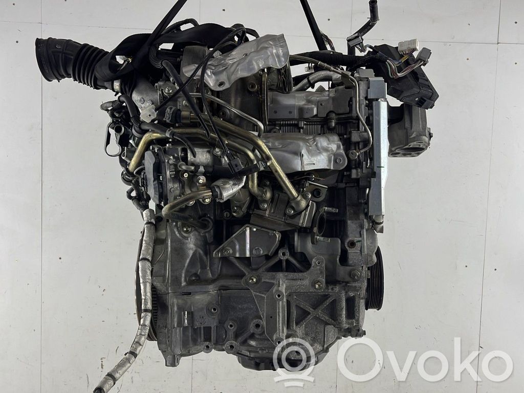 Variklis   10102BV8MB