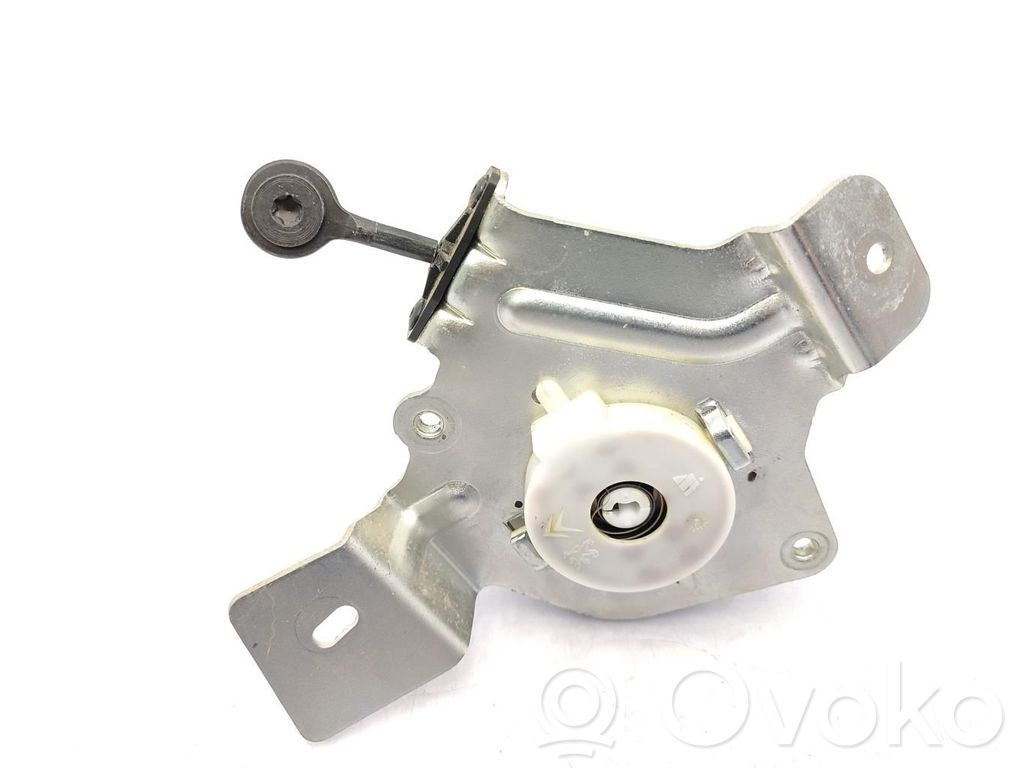 Peugeot 3008 I Cerniera portellone posteriore/bagagliaio 