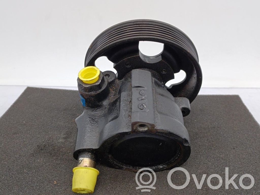 Peugeot 406 Pompa servosterzo 