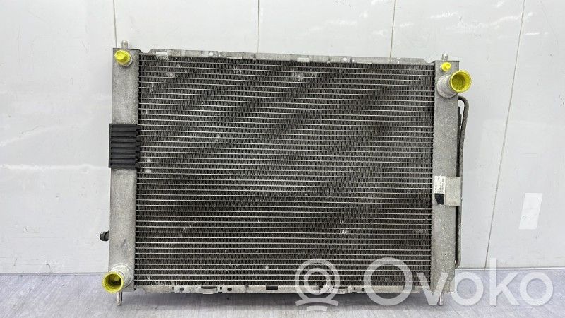 Renault Clio III Aušinimo skysčio radiatorius 