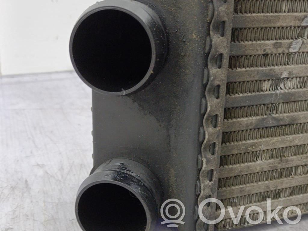 Peugeot 206 Intercooler radiator 