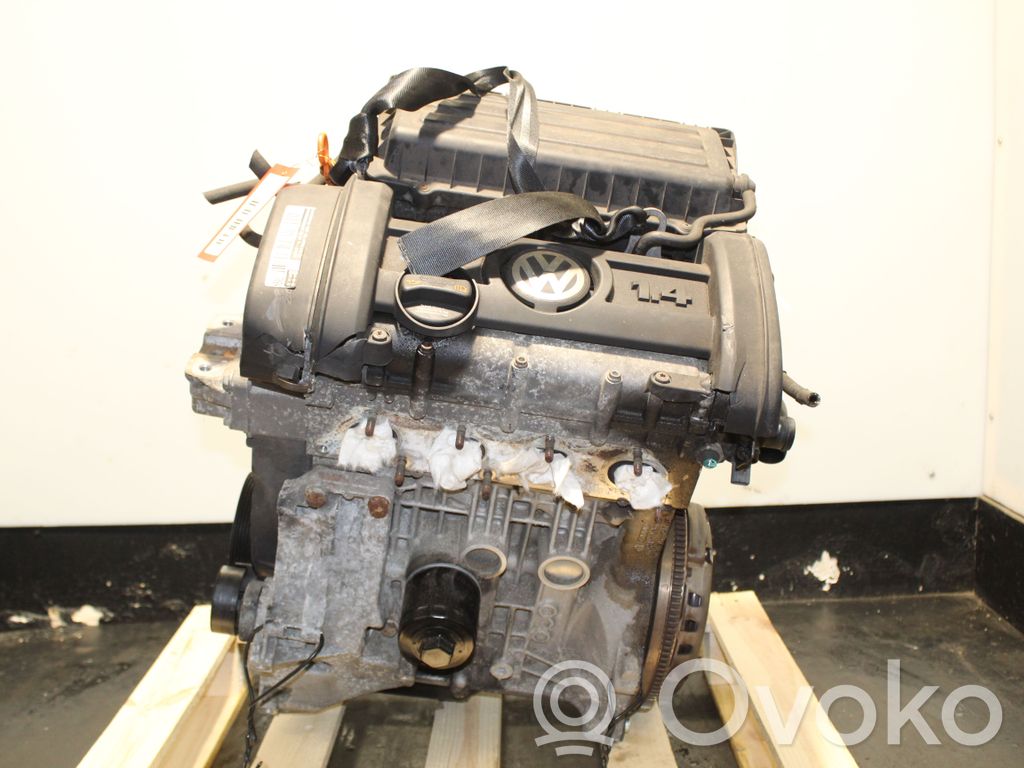 Volkswagen Golf V Motor 