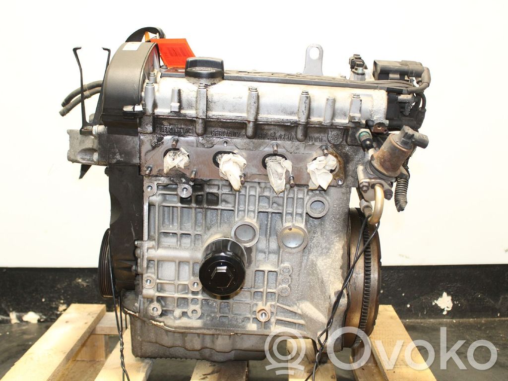 Volkswagen Golf IV Motor 