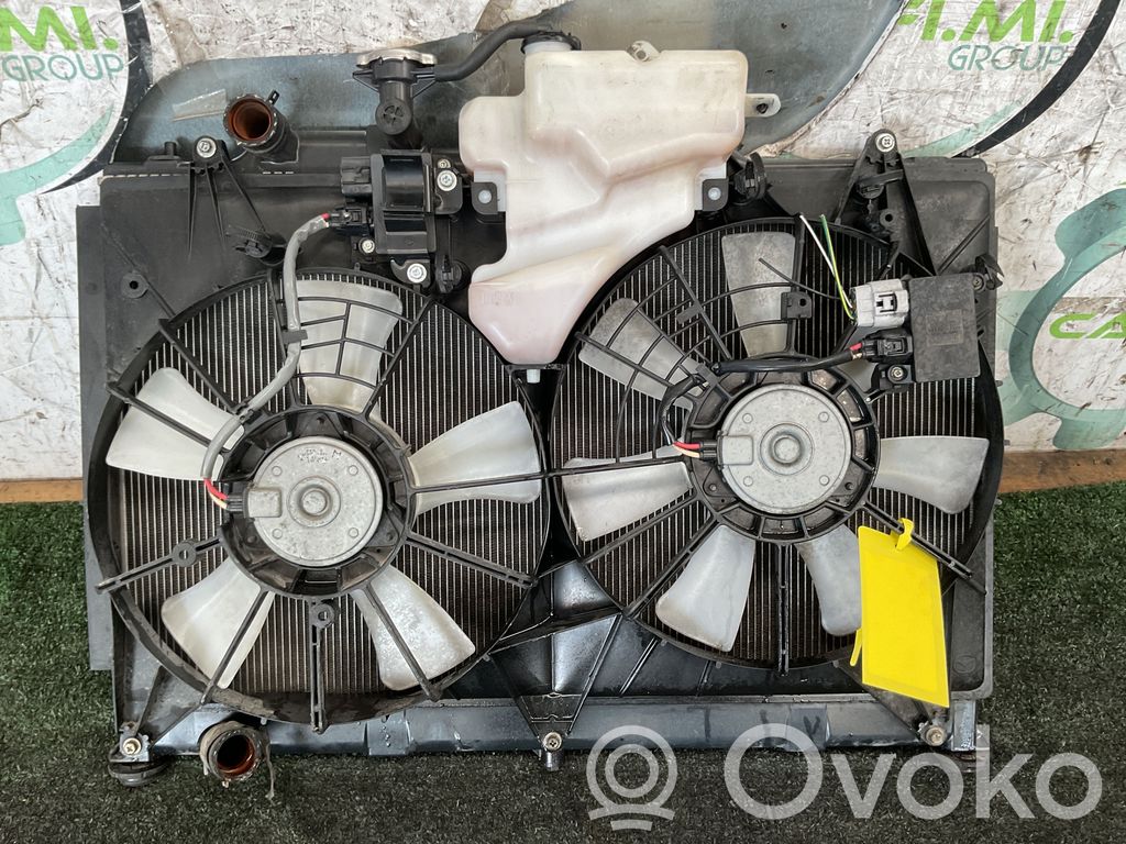 Kit Radiateur   2220005133,2220005133
