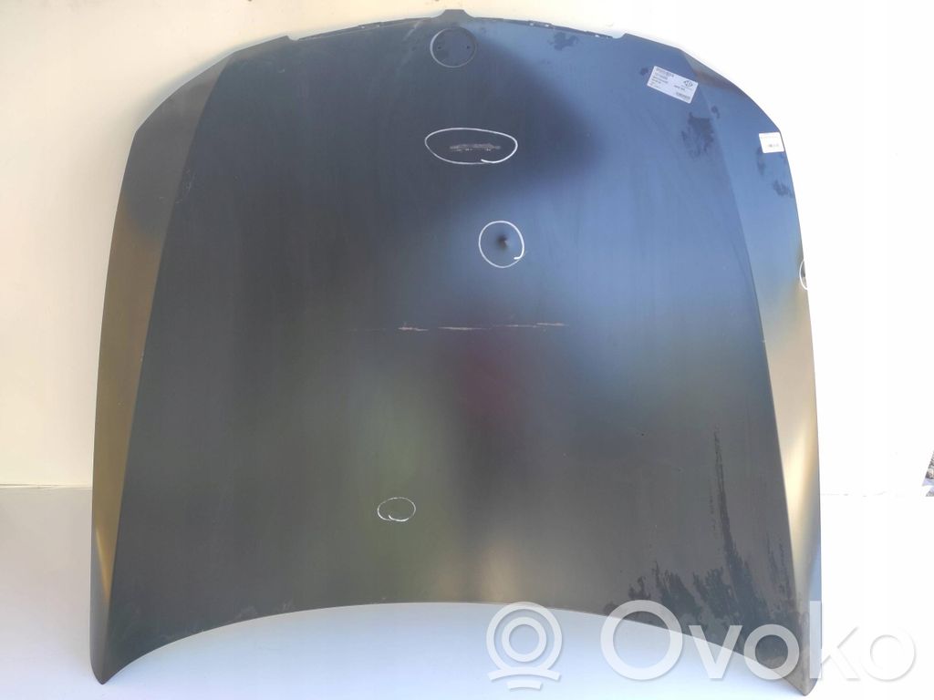 BMW 3 E90 E91 Dangtis variklio (kapotas) 