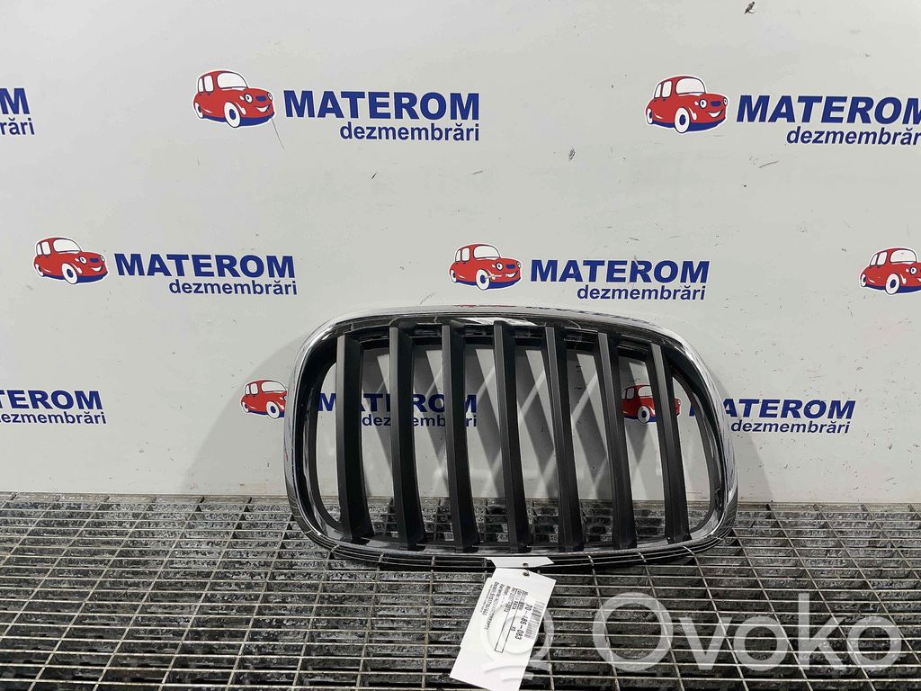BMW X5 E70 Oberes Gitter vorne 