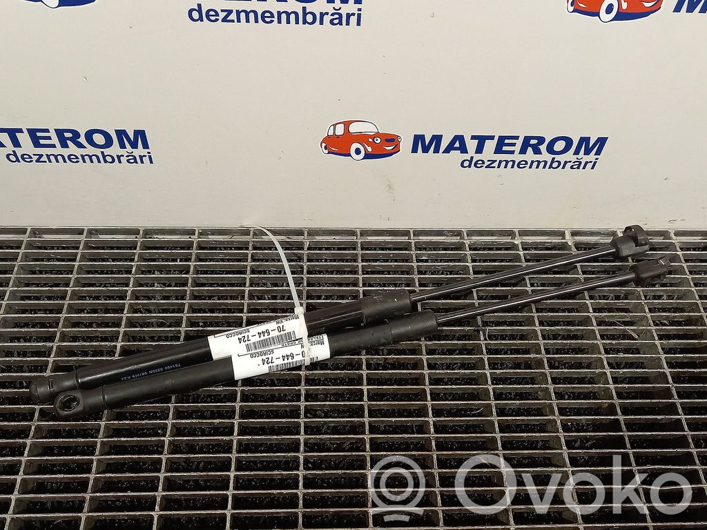 Volkswagen Scirocco Amortiguador/puntal del maletero/compartimento de carga 