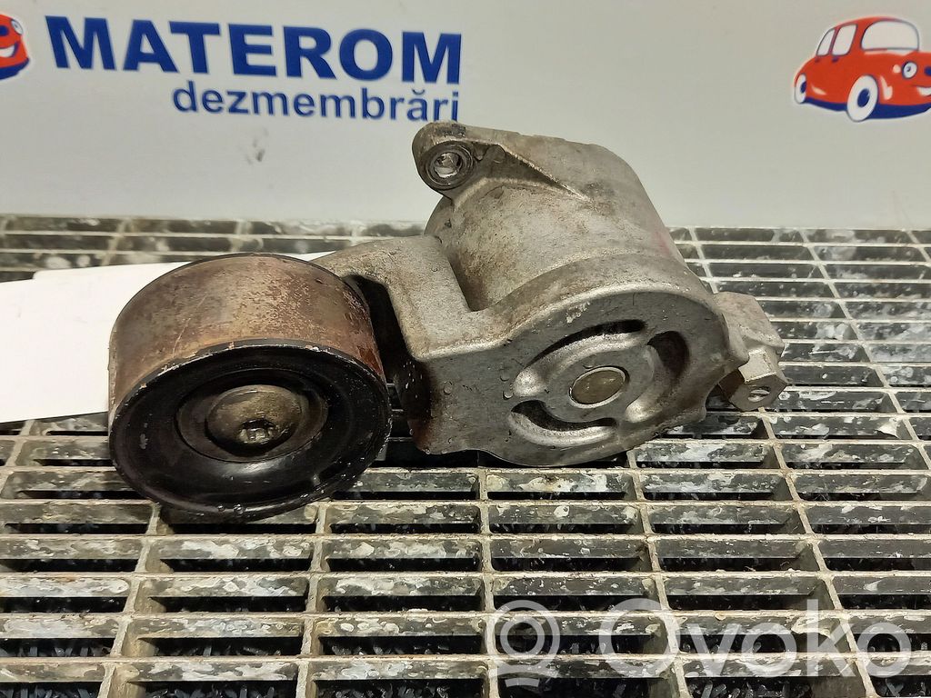 Generatoriaus diržo įtempėjas   R2AA15980
