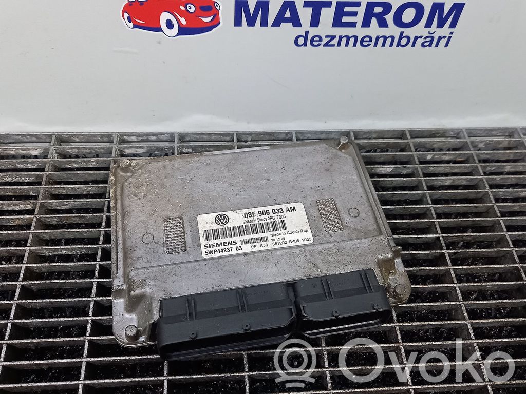 Seat Ibiza III (6L) Engine control unit/module 