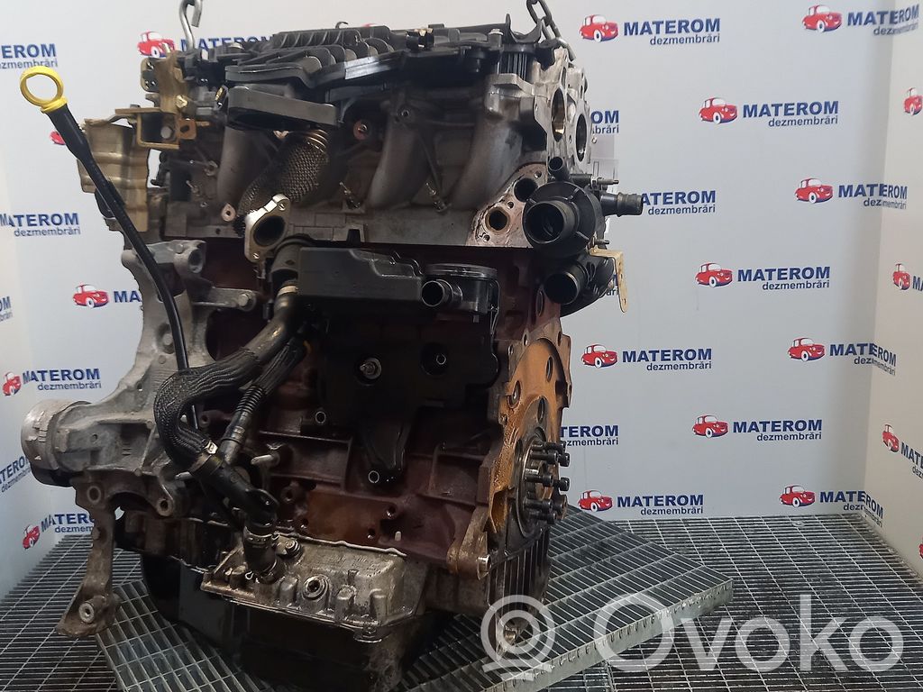 Ford Kuga II Motor 
