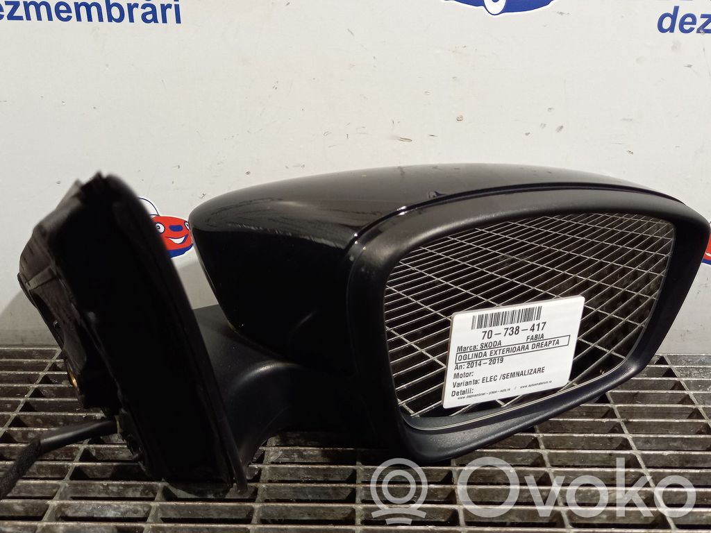 Skoda Fabia Mk3 (NJ) Oglindă electrică ușă față 